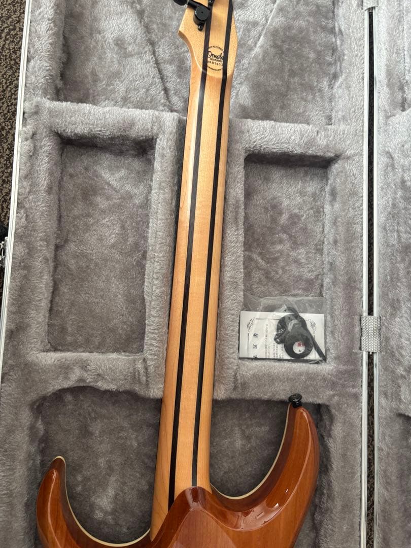 パパピピ　ormsby guitars hype gtr6