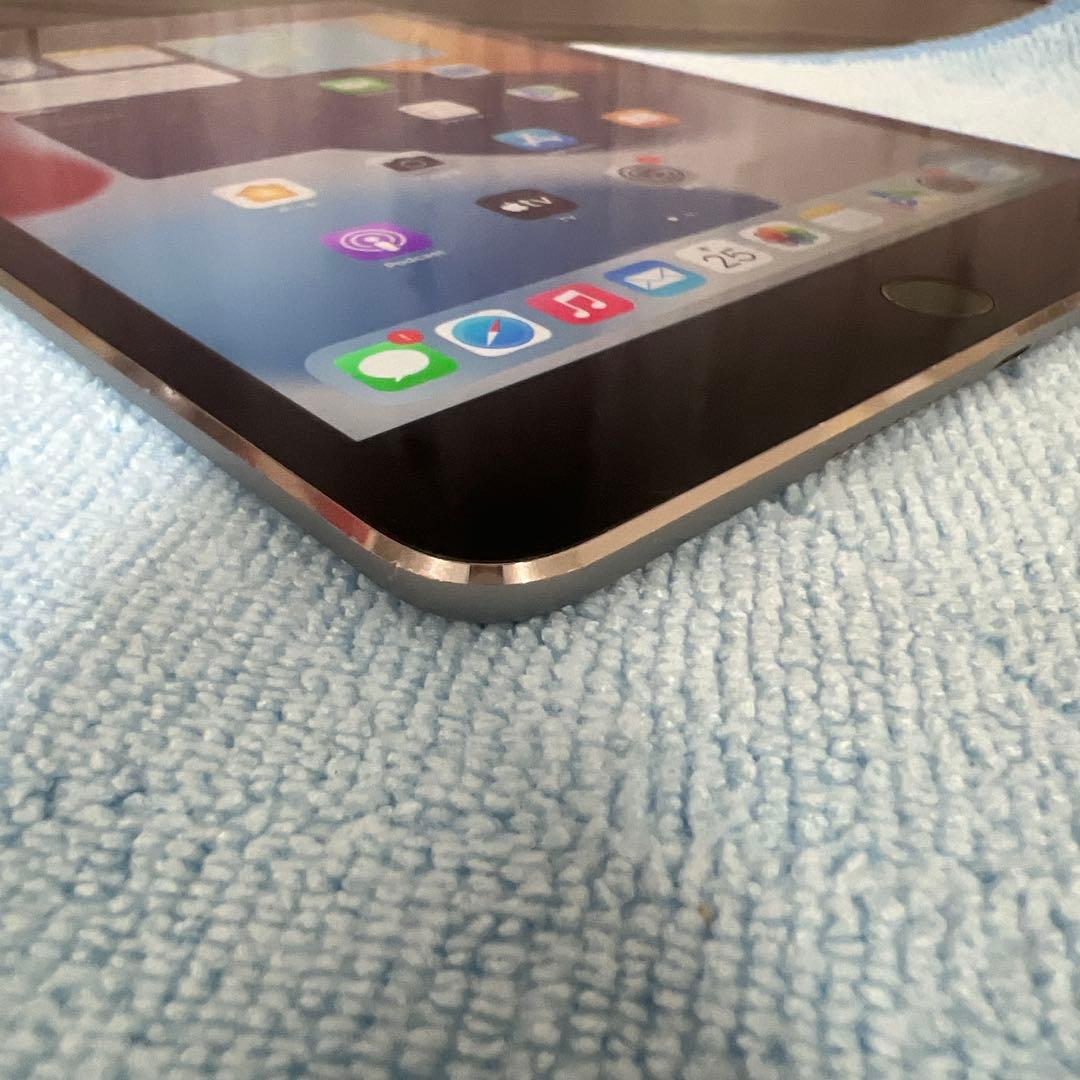 Apple iPad mini 4 128GB セルラーモデル