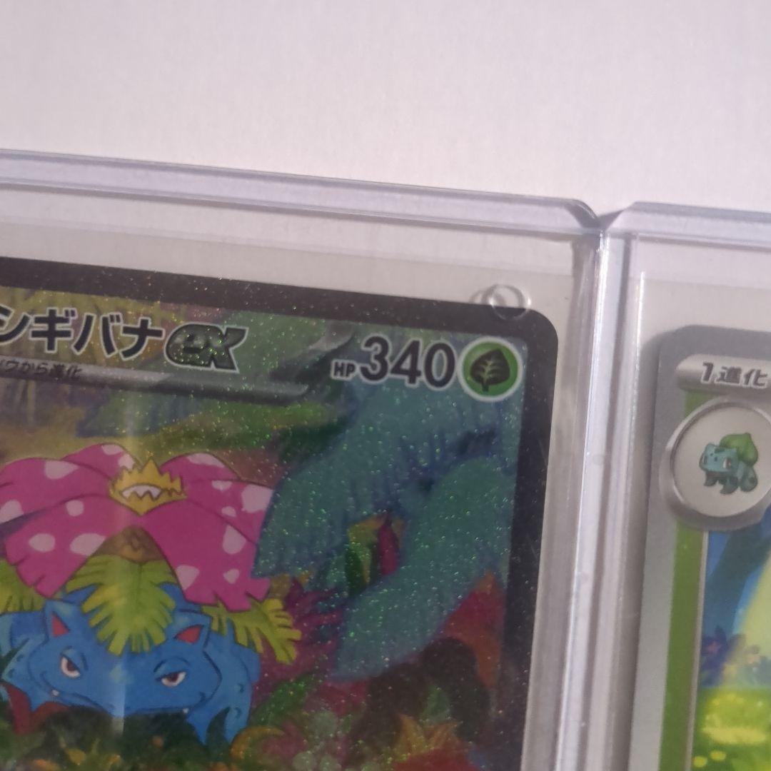 フシギソウ マスターボールミラー AR フシギバナex SAR 3枚