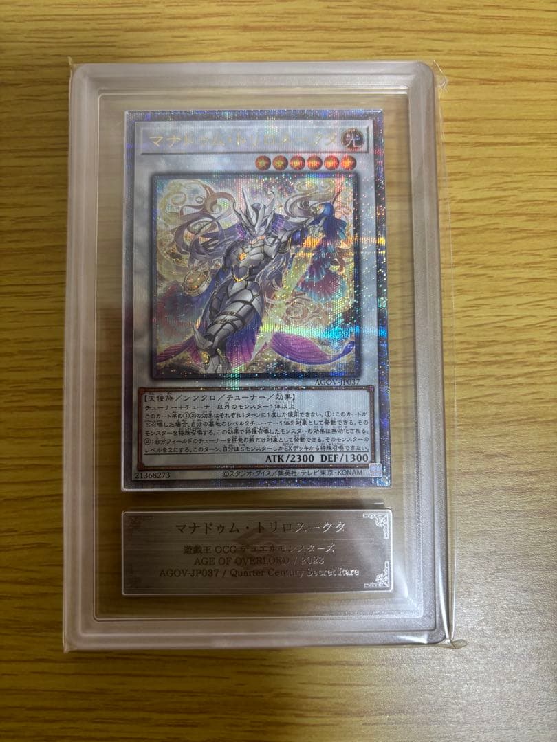 マナドゥム・トリロスークタ　ARS10➕　プリシク