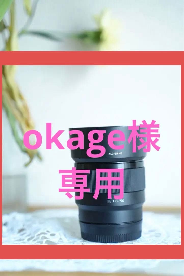 SONY 50mm単焦点レンズ　SEL50F18F