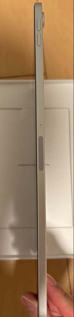 iPad Pro11 第1世代256GB wi-fiモデル