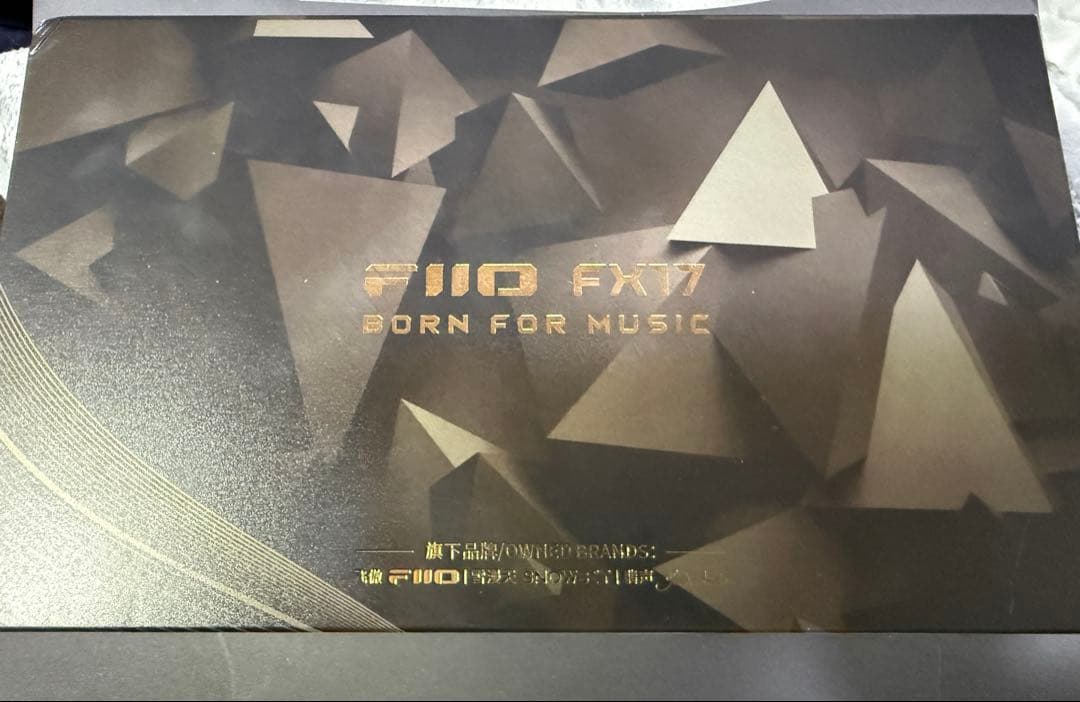 1/5まで出品 FiiO FX17 (eSiq ダブルコーティング済)