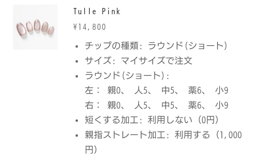 EVER NAIL エバーネイル Tulle Pink ネイルチップ