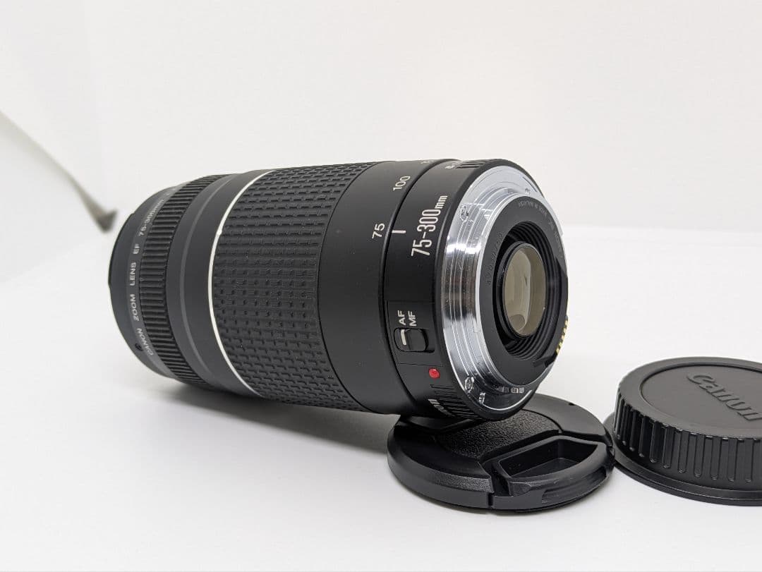 10月1日限定特価♪【超望遠レンズ】Canon EF 75-300mm Ⅲ