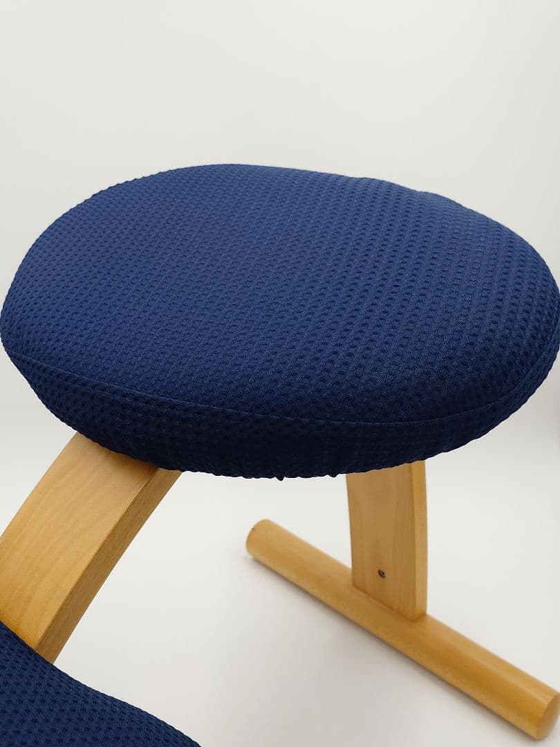 バランスイージー バランスチェア ネイビー サカモトハウス　カバー付き