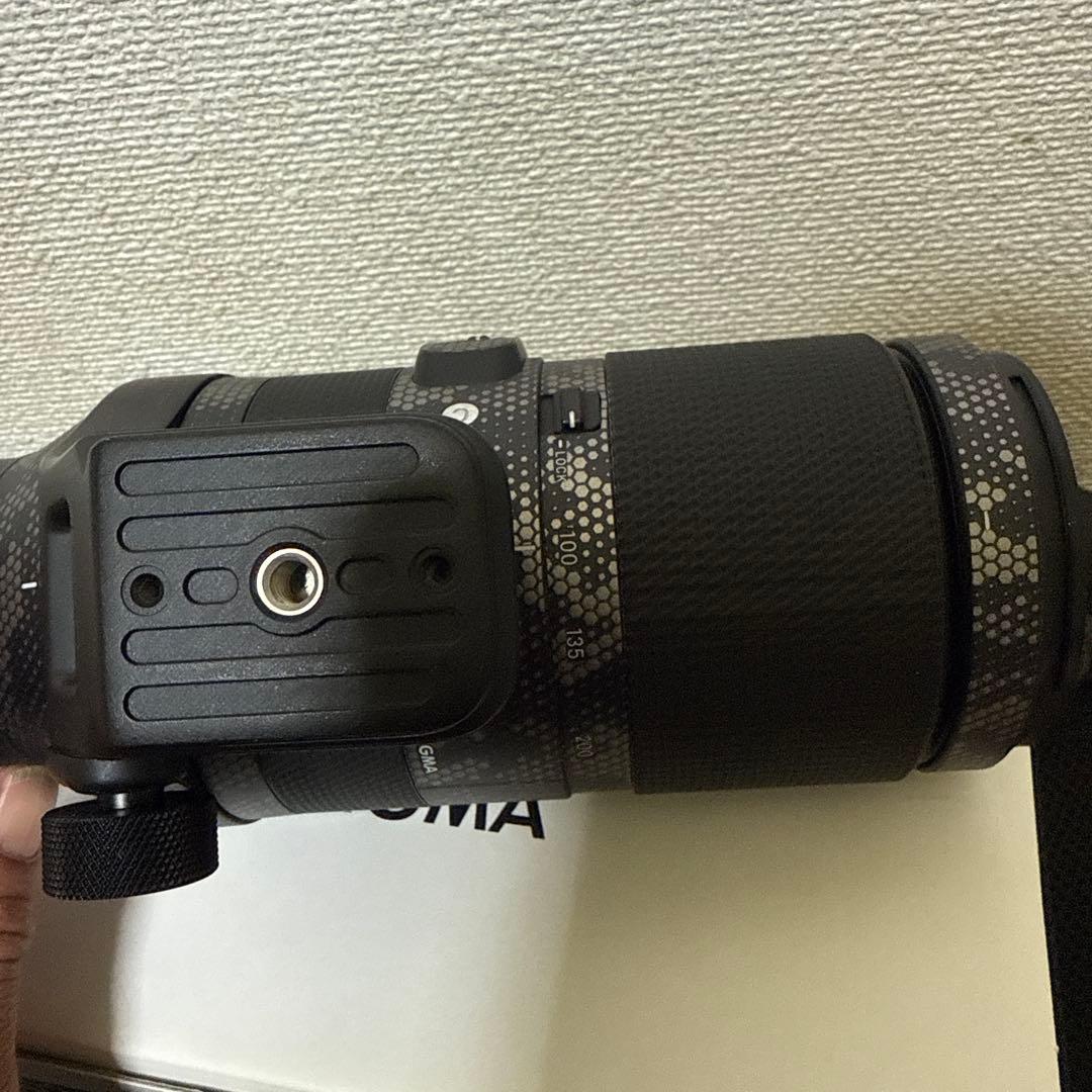 sigma 100-400mm F5-6.3 Eマウント