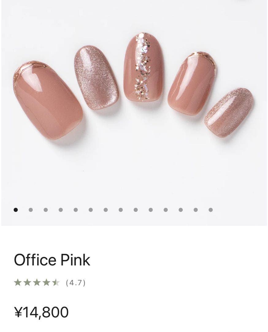 EVER NAIL エバーネイル　ネイルチップ