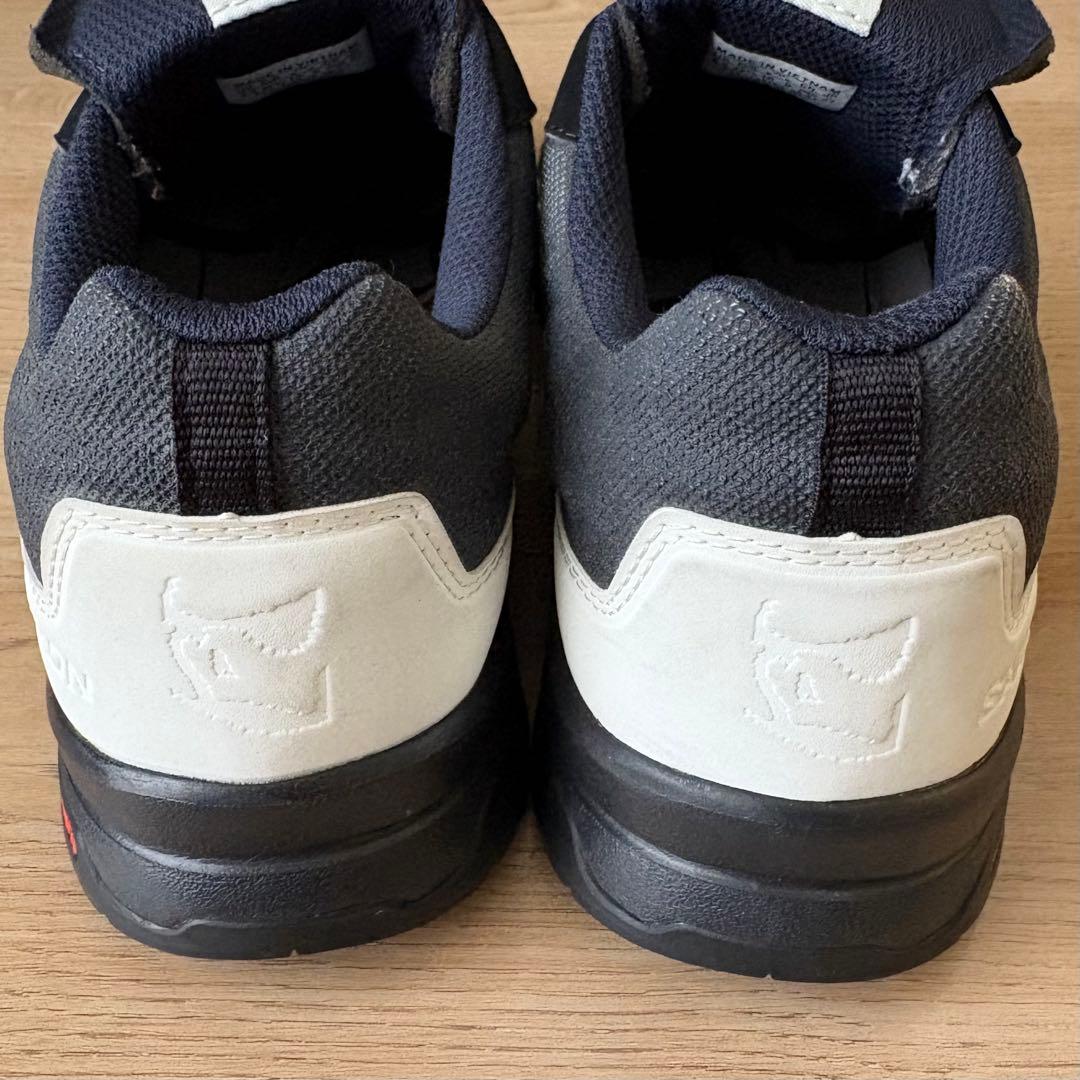 靴 SALOMON X-ALP GR10K