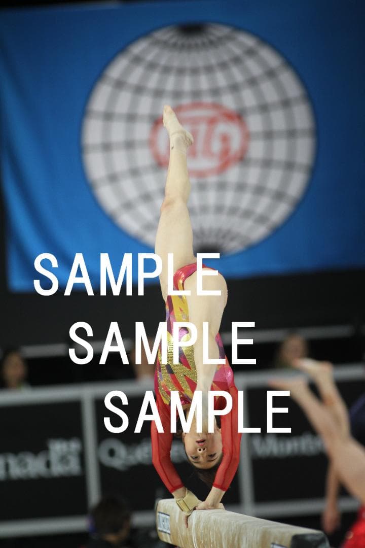 ★9/30終売★寺本明日香 画像集(2015～2019年) 約15,500枚