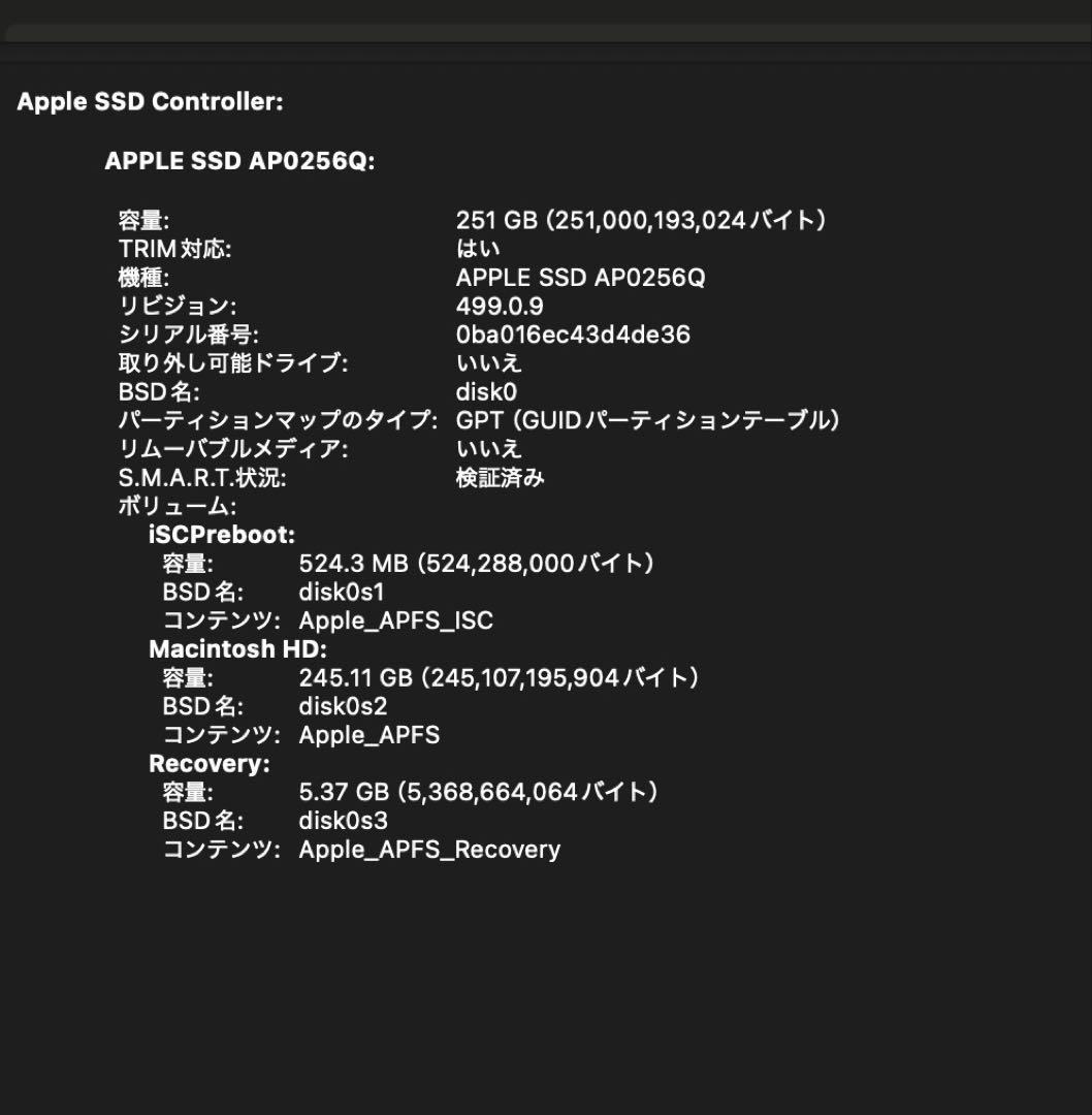 13.3インチMacBook Air M1 256GB 16G スペースグレイ