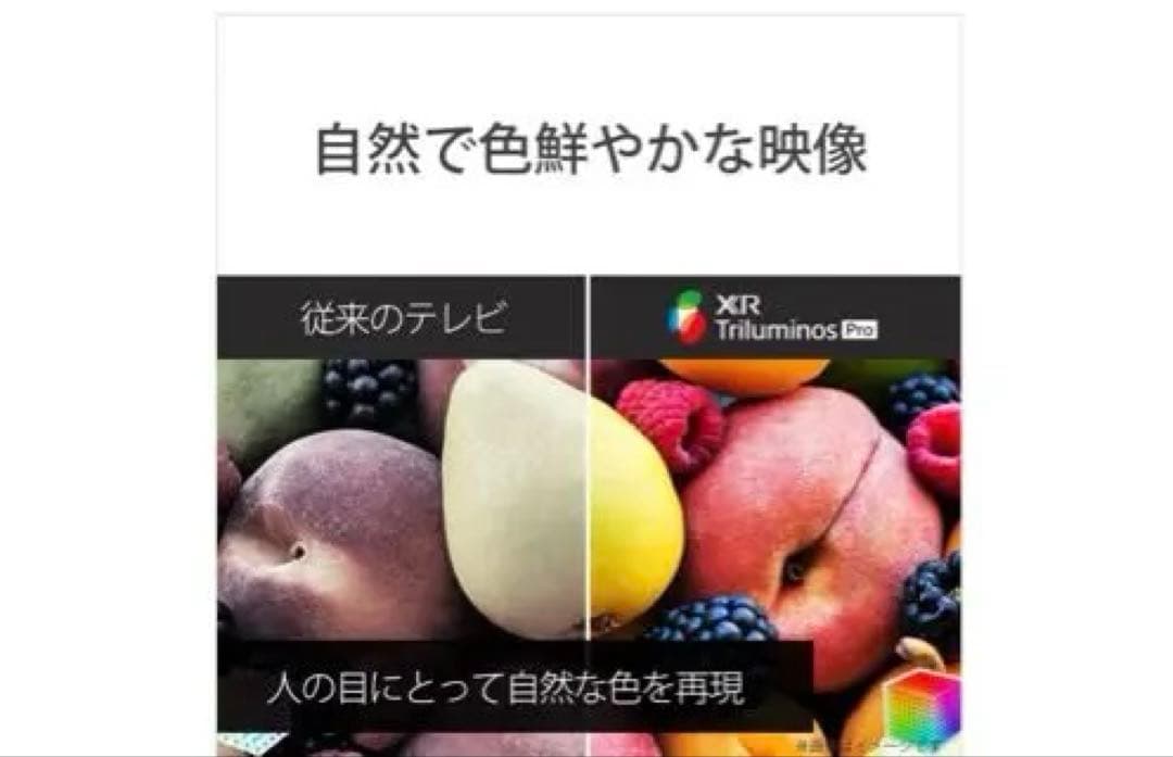 【送料無料】SONY 2023年製 65型 BRAVIA XRJ-65A80L