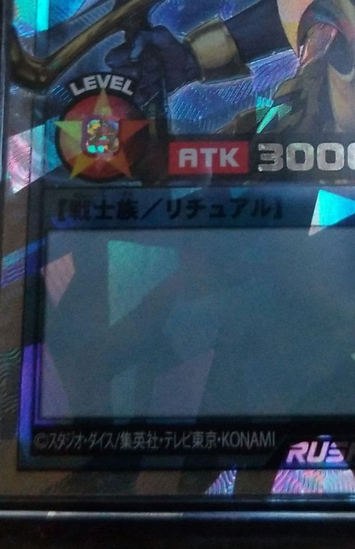 カオスソルジャー