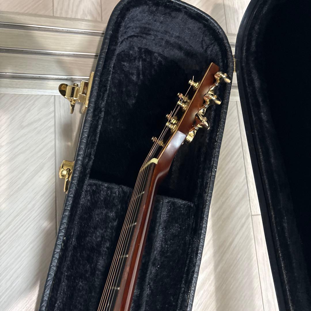 ギター Rosso SJ-841C