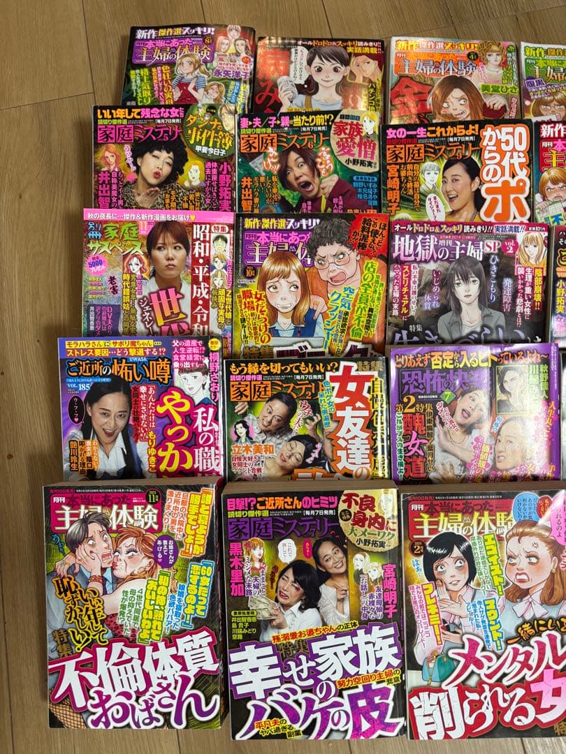 女性漫画コレクション 不倫体験談など レディコミ30冊セット