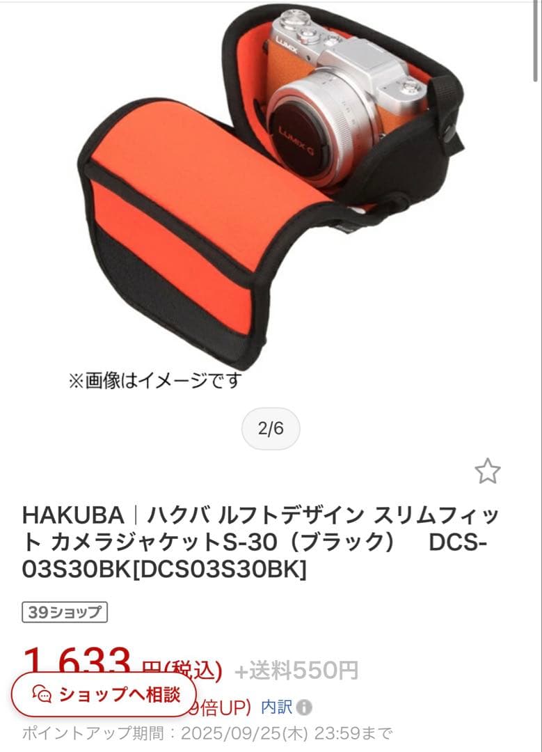 【美品】SONY ZV-E10L パワーズームレンズキット