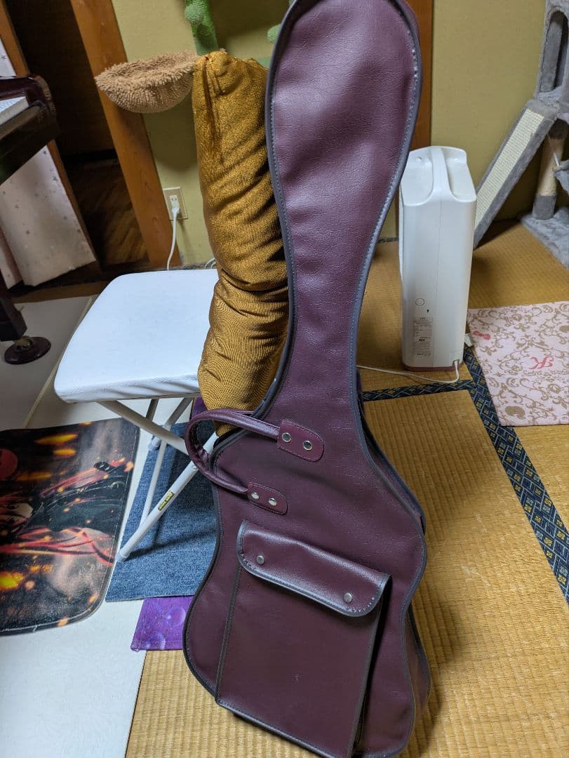 アリアプロⅡ　パープル エレキギター