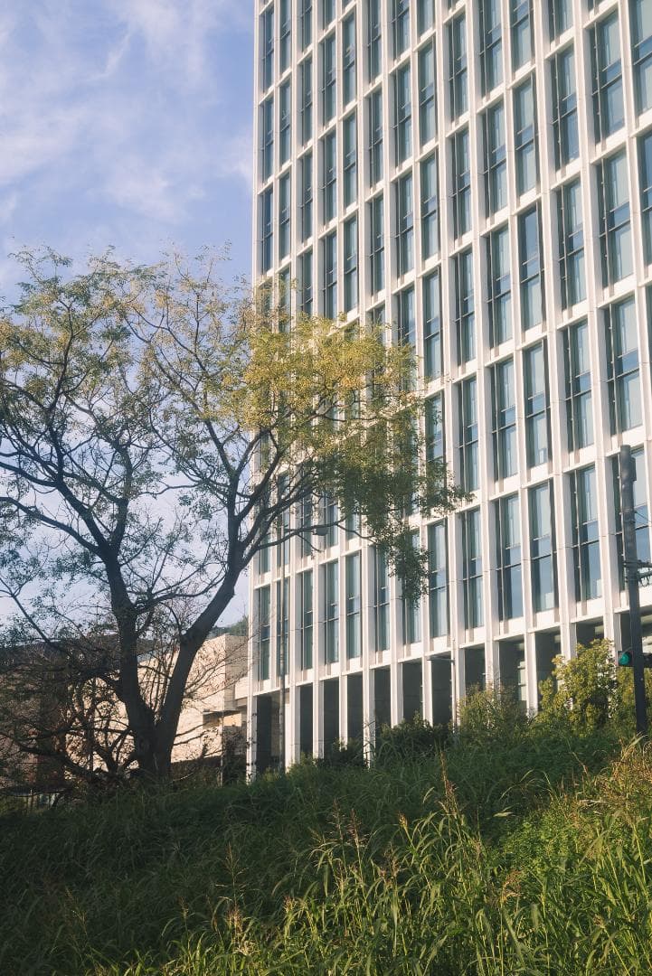 虹が出るライカの癖玉！Leica Summar 50mm f2 オールドレンズ