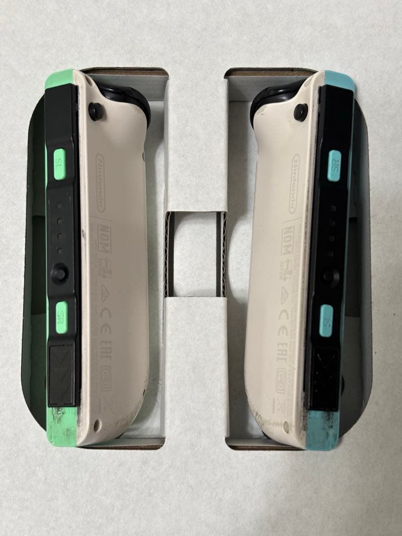 即購入可　Nintendo Switch あつまれどうぶつの森 デザイン