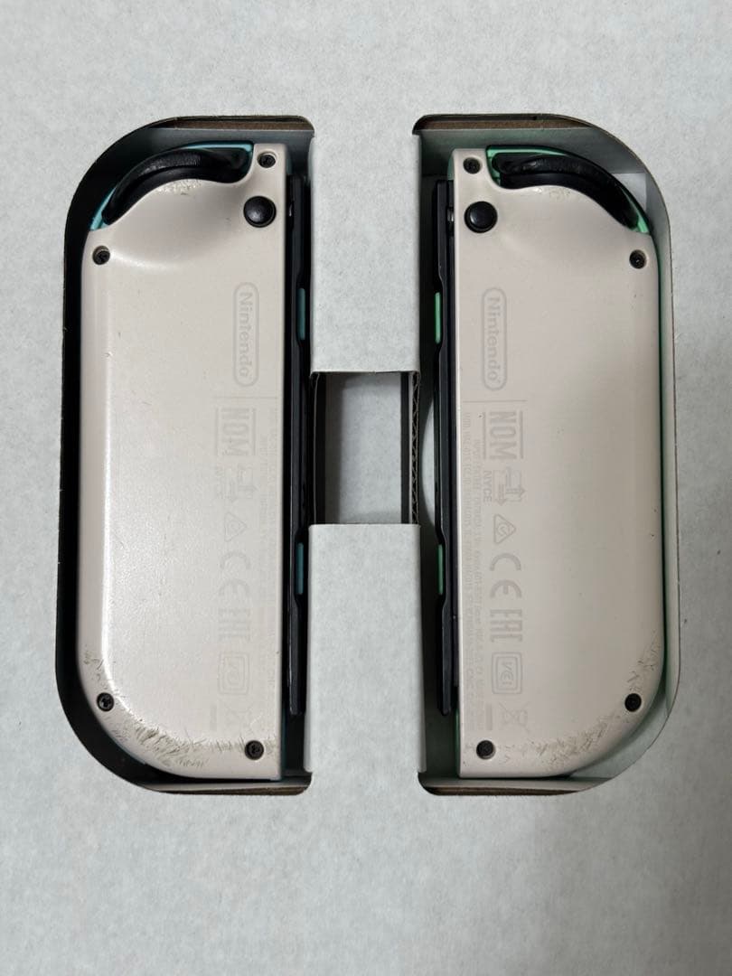 即購入可　Nintendo Switch あつまれどうぶつの森 デザイン