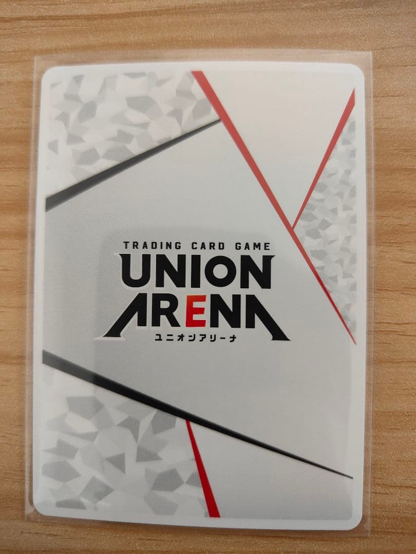 ユニオンアリーナ　フロストノヴァ　AP