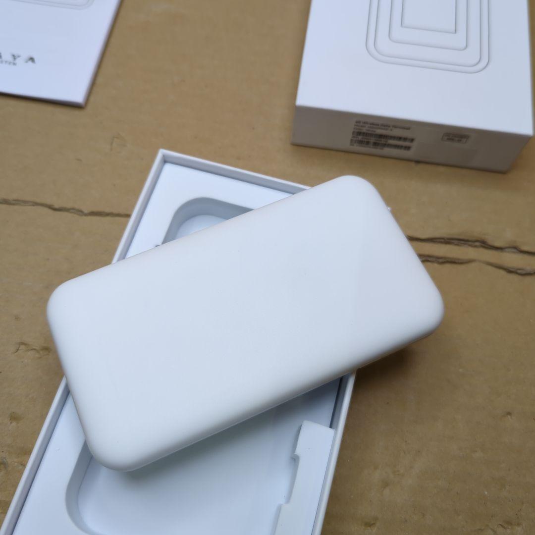 ポケット チャージWiFi U20P (日本国内 100GB/365日付)