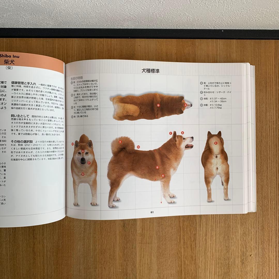 360°ビジュアル犬種大図鑑 : 世界の最新人気犬種のスタンダードがひと目でわ…