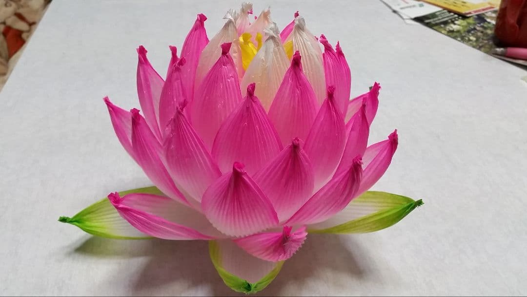 アインさま専用