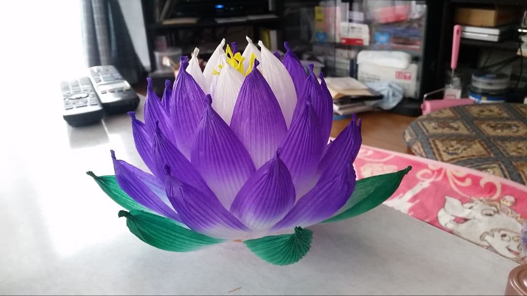 アインさま専用