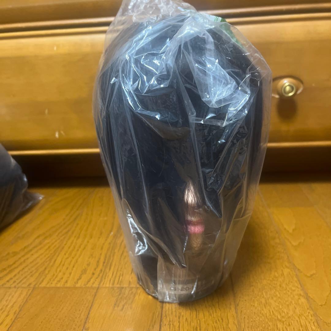 国家試験カットウィッグ