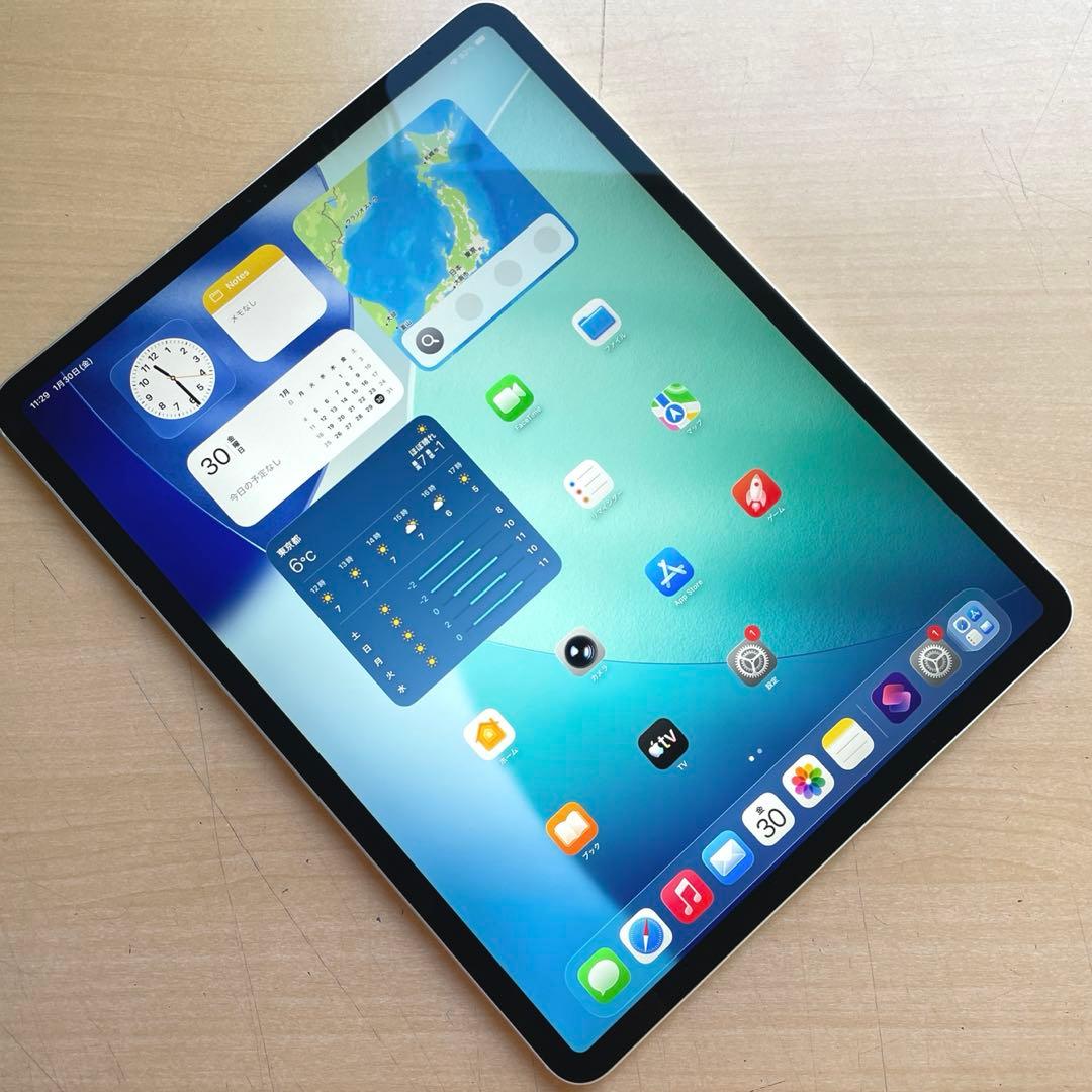 iPad Pro 第4世代　Wi-Fi+Cellular シルバー　超美品 #2
