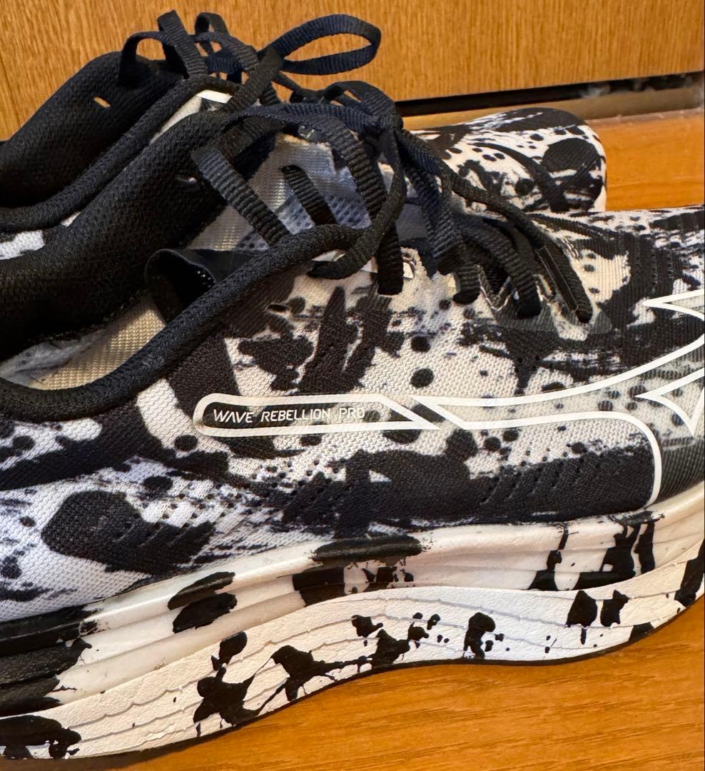 ミズノ ウエーブリベリオンプロ 書き初めカラー