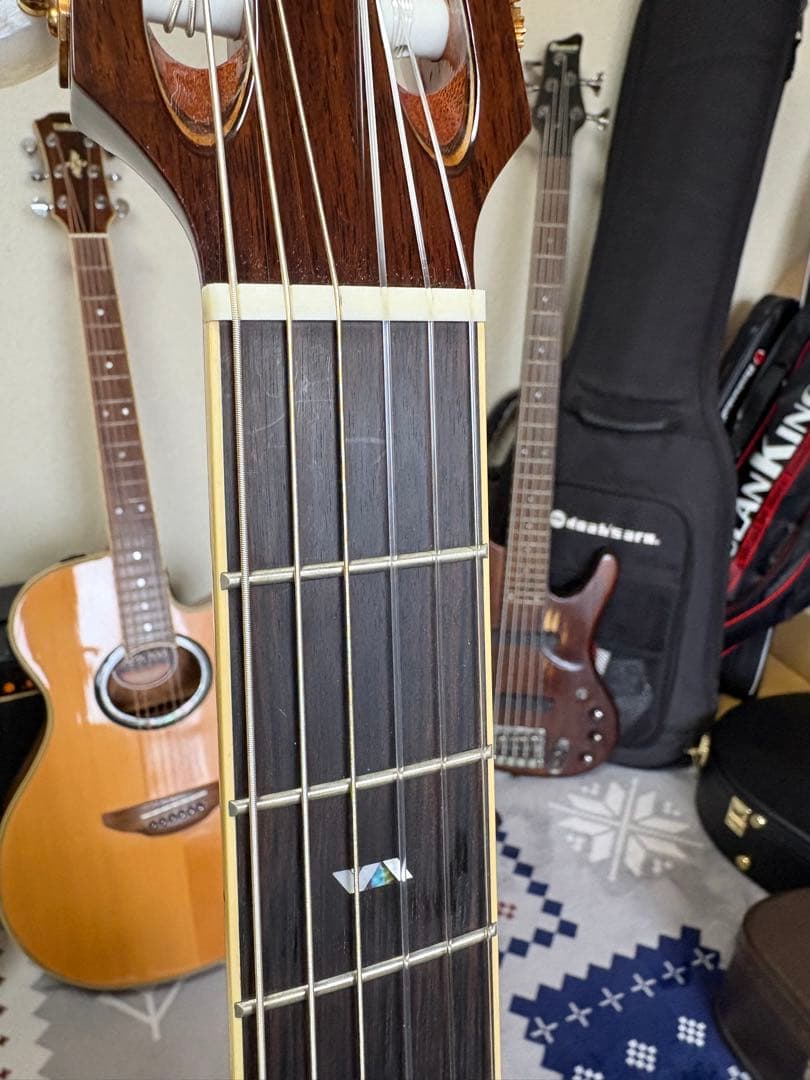 Takamine DMP670NC VTSアコースティック(Satoちゃん専用)