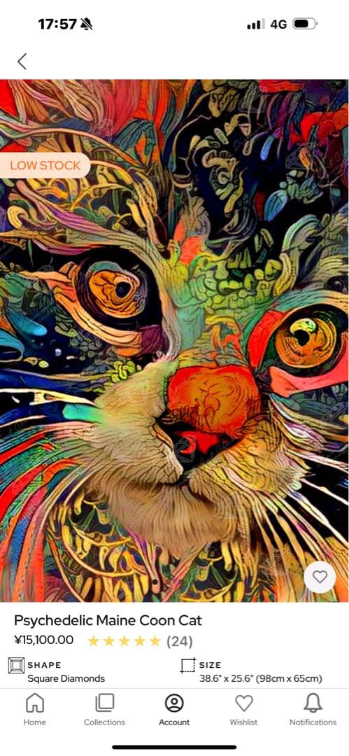 その他 Psychedelic Maine Coon Cat DAC