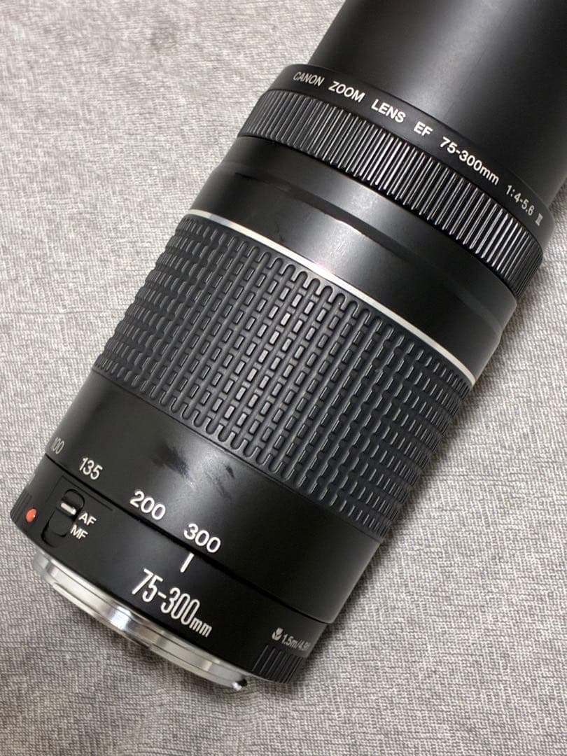 ⭐️新品フード付⭐️ Canon EF 75-300mm F4-5.6 III 望遠
