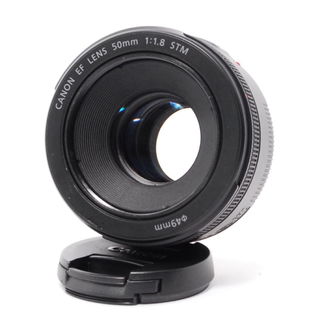 ❤️トロけるボケ感❤️Canon EF 50mm F1.8 STM❤️単焦点レンズ❤️