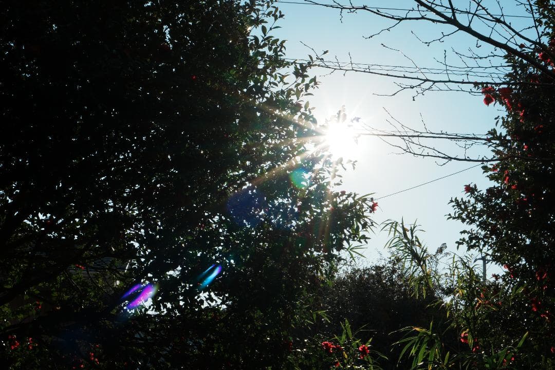 【美品】動作◎ SONY E 35mm F1.8 OSS 神レンズ 228