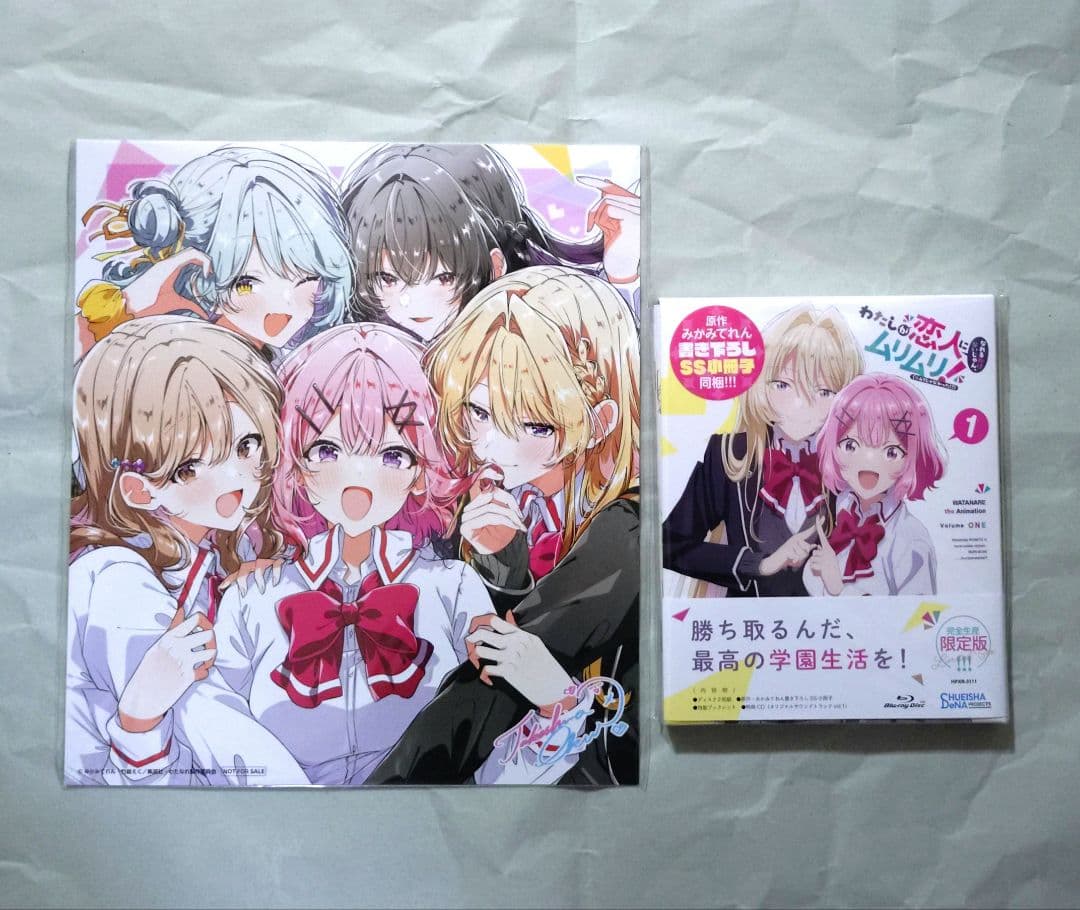 わたしが恋人になれるわけないじゃん,ムリムリ!(※ムリじゃなかった!?) 1巻