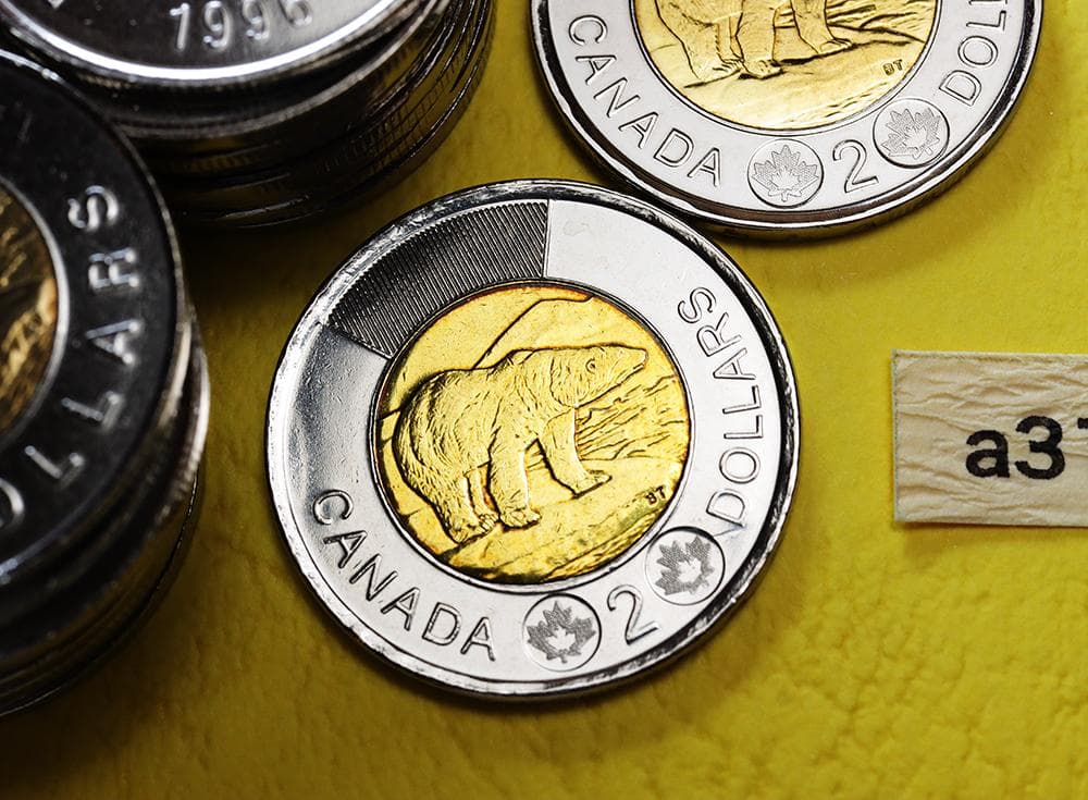 a317 カナダ　2ドル　　硬貨　北極熊　エリザベス女王　52枚　まとめて