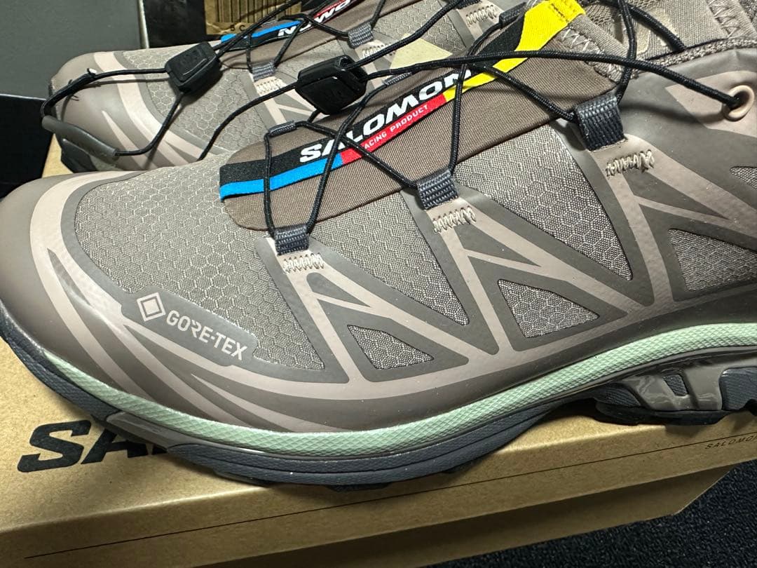 XT-6 GTX ブラウン 28.5