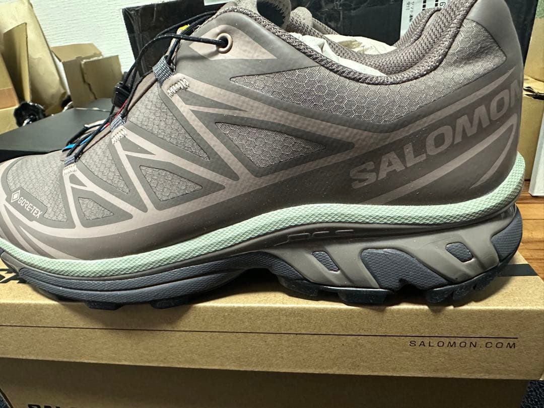 XT-6 GTX ブラウン 28.5