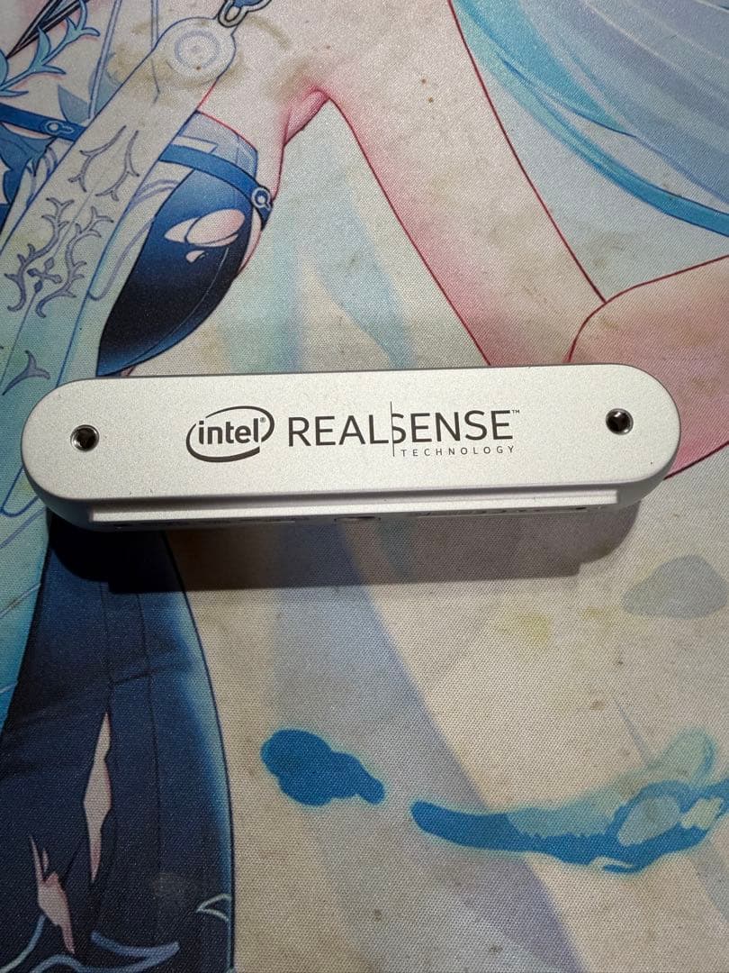 Intel RealSense Depth Camera D455 動作確認済