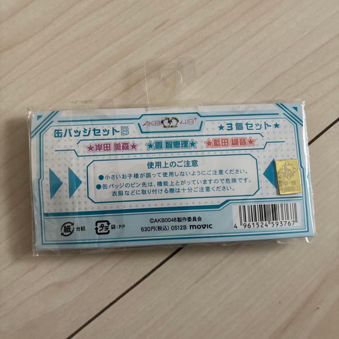 AKB0048缶バッジセットB