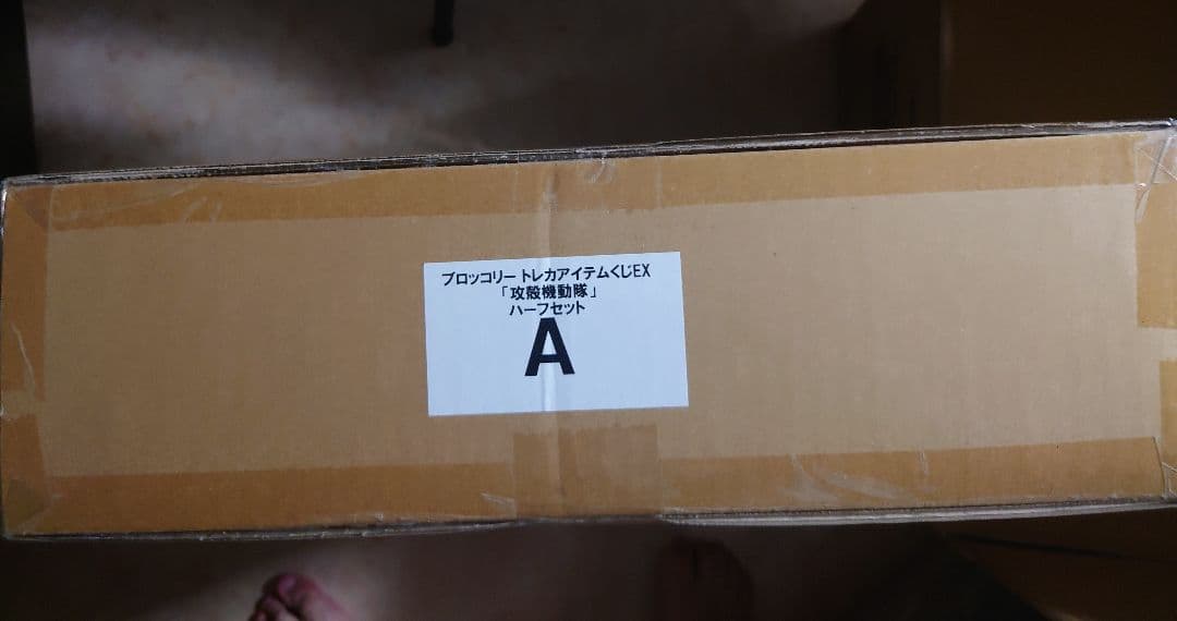 最安値【未開封/カートン】ブロッコリートレカアイテムくじEX 攻殻機動隊