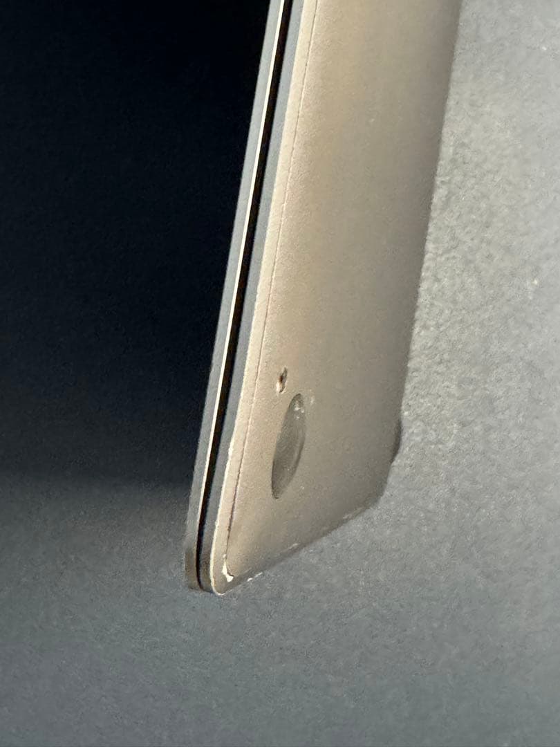 【ジャンク】Macbook 12-inch 8G 256GB