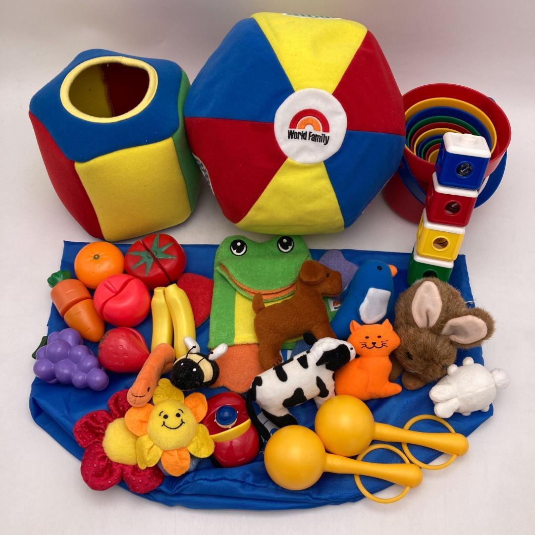 プレイアロング　ブルーレイ　おもちゃ付　ディズニー英語　DWE　1002009