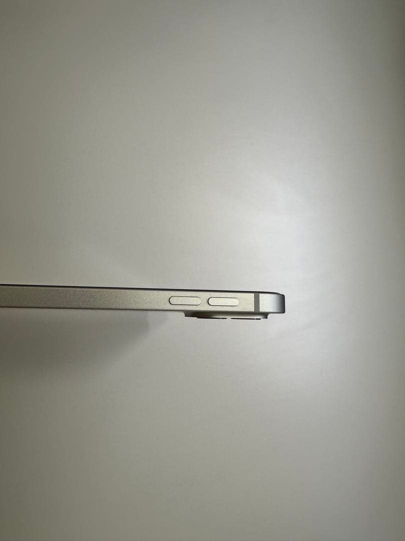 【SIMフリー/M1】iPad Pro 12.9 第5世代 256GB セット