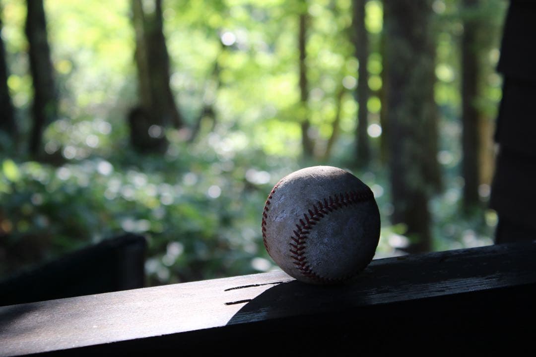 美品 Canon EOS 7d Mark2 デジタル一眼レフカメラ レンズセット