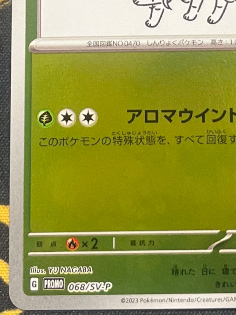 【美品】NAGABA 長場雄 リーフィア プロモ　ナガバ　ユウ