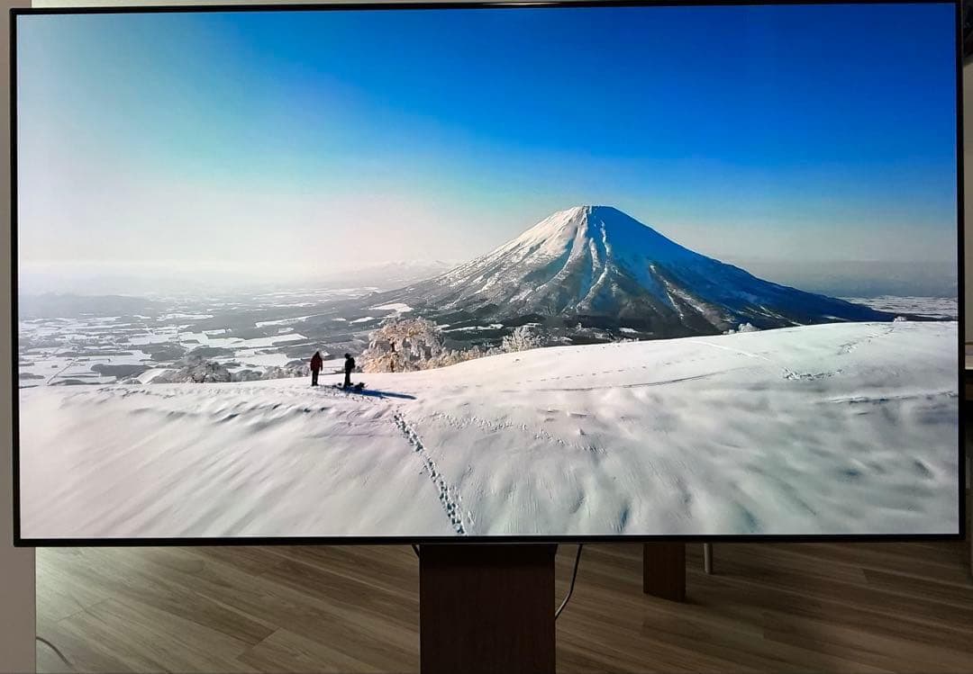 【OLED】有機EL 65インチ OLED65CXPJA